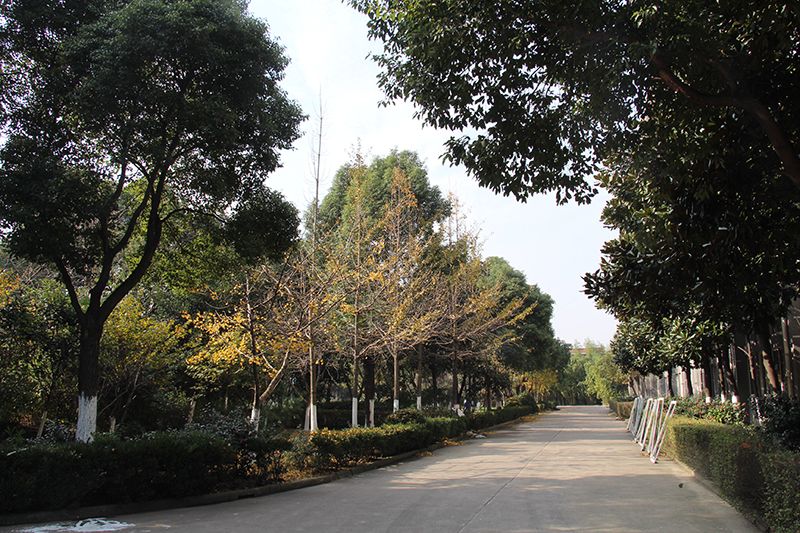 公司宗旨：以人為本，誠信務(wù)實，創(chuàng)新進取。